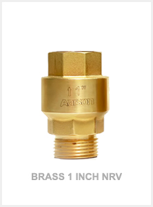 Brass 1 Inch NRV