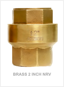 Brass 2 Inch NRV