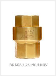 Brass 1.25 Inch NRV