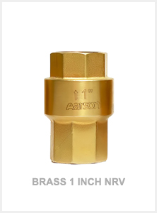 Brass 1 Inch NRV