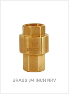 Brass 3/4 Inch NRV